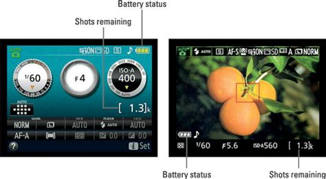 Nikon D3300: How to Switch to Live View Mode 